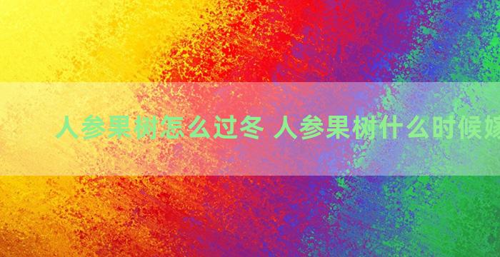 人参果树怎么过冬 人参果树什么时候嫁接最好